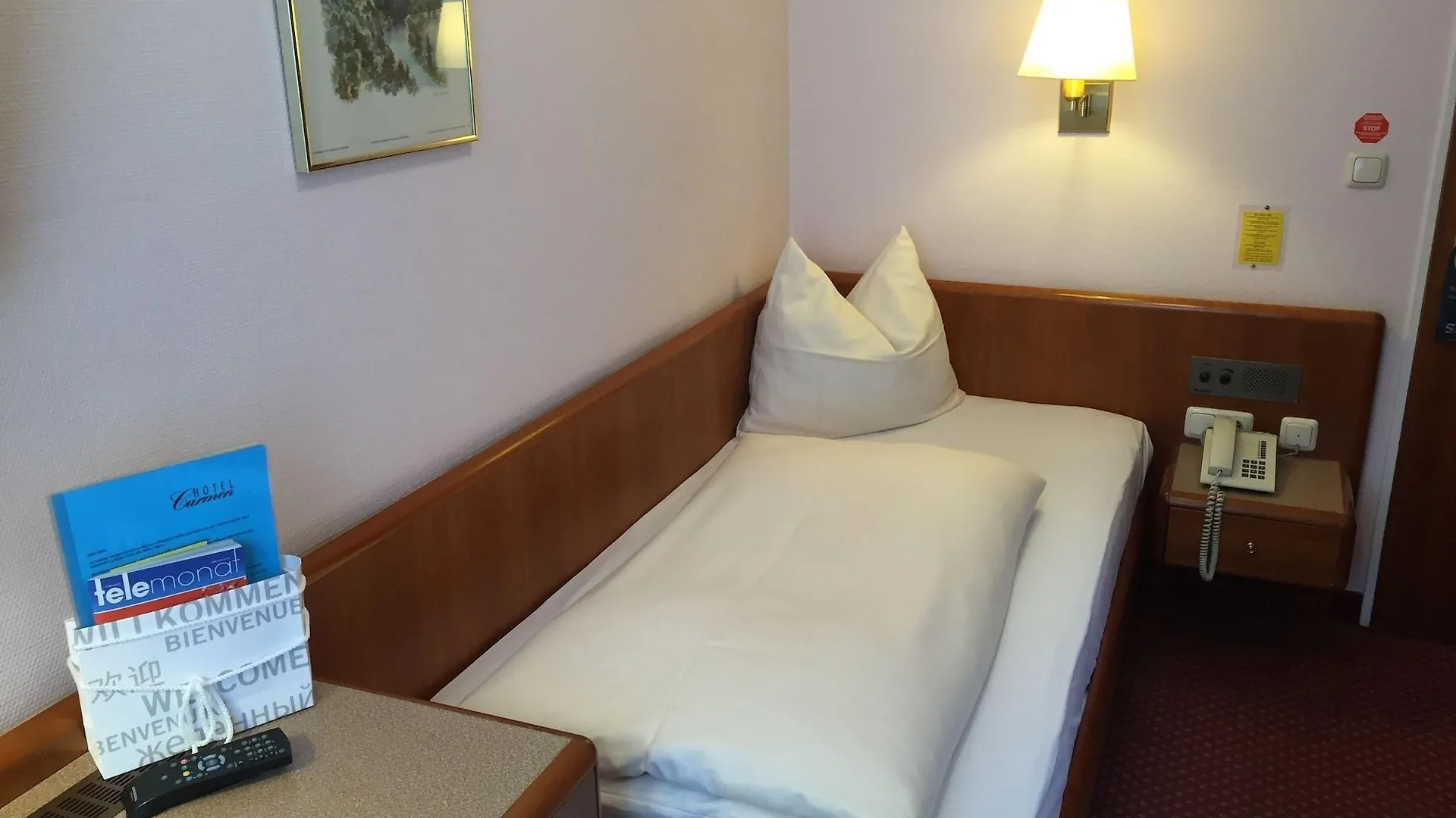 Hotel Carmen Munich Germany